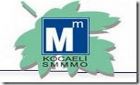 KocaeliSmmmo